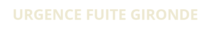 URGENCE FUITE